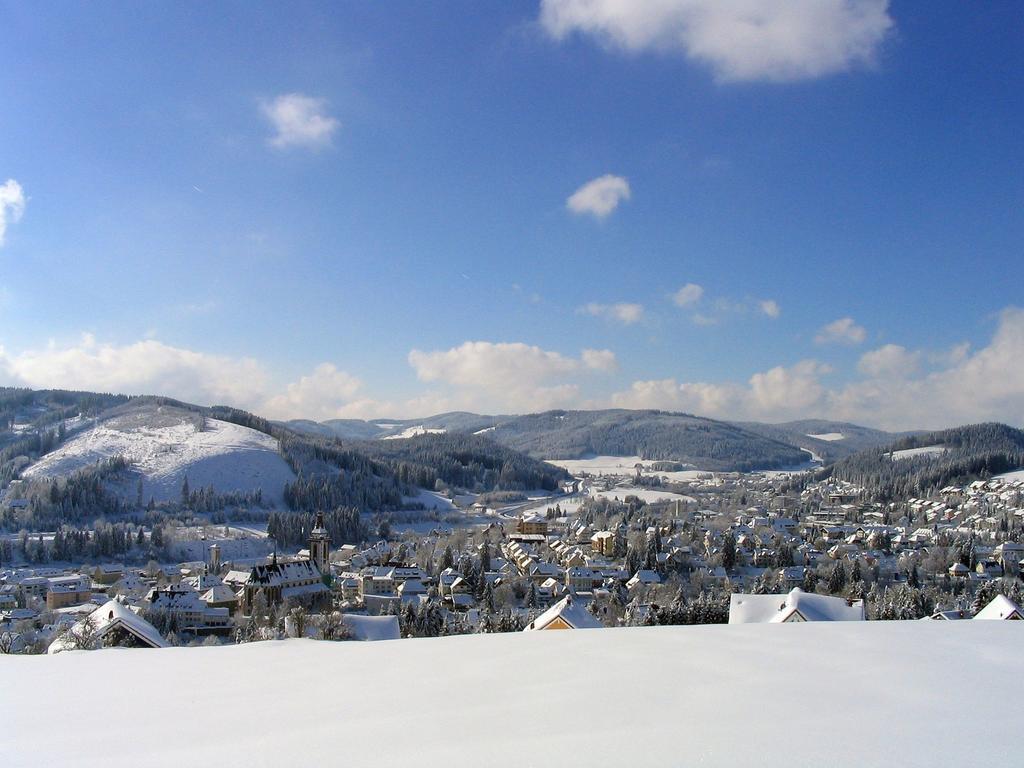 Ferienwohnung Am Eisweiher Titisee-Neustadt Extérieur photo