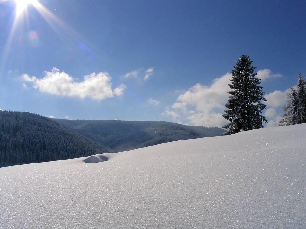 Ferienwohnung Am Eisweiher Titisee-Neustadt Extérieur photo